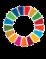 Circular color wheel with 17 vibrant colored segments arranged in a ring on black background