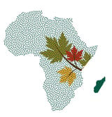 MapleAfrica Alliance, NEMES 2026 Partner